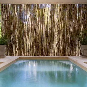 https://casa-cenote-private-pool-gated.quintano-roohotels.com